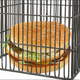 Image for article titled UK man lost 280 pounds after his trainer told fast food places not to serve him